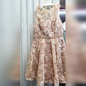 Decode 1.8 Champagne Cocktail Dress